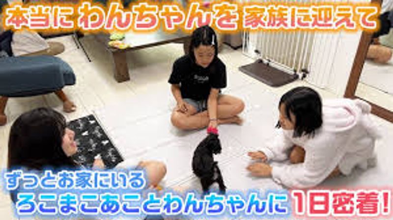 Quiz image attachment