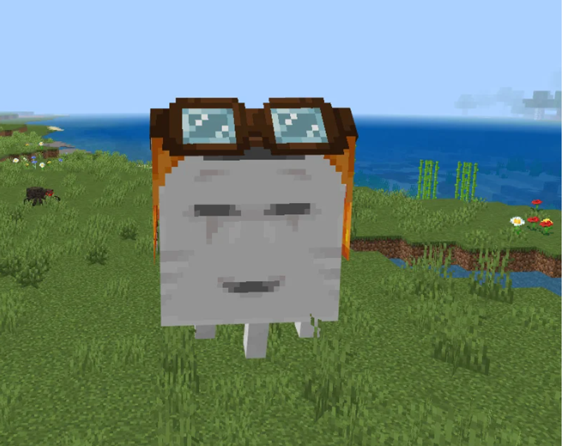 Quiz image attachment