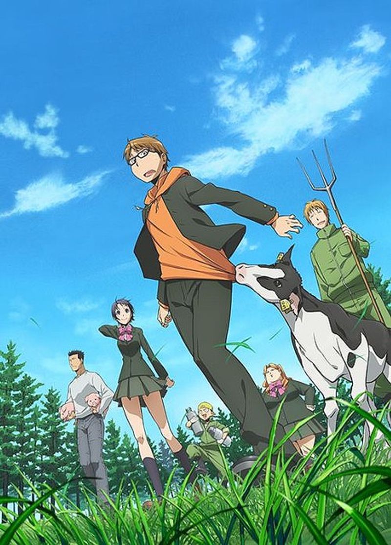 Quiz image attachment